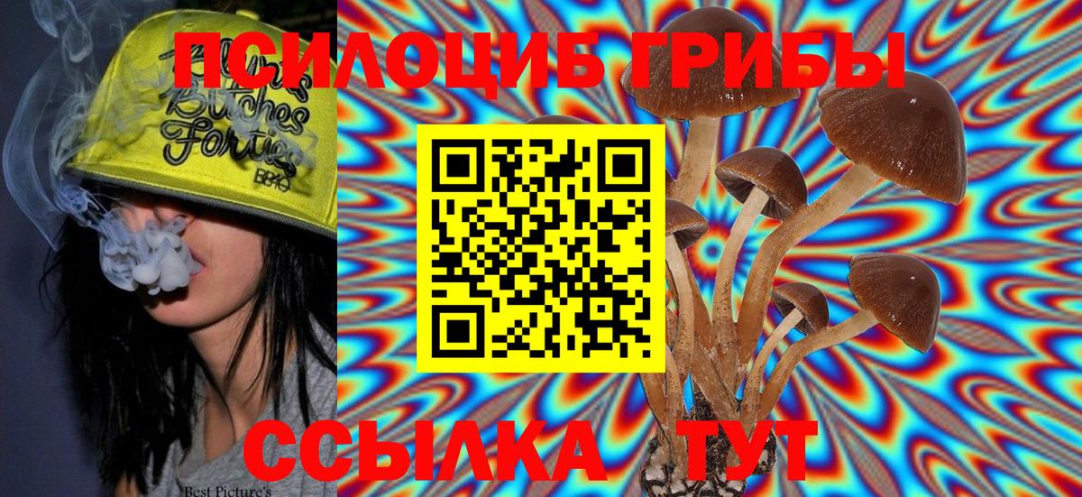 Псилоцибиновые грибы Psilocybe Мариинск