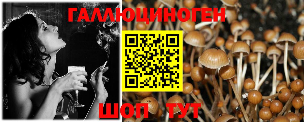 Мариинск  где найти наркотики  Вход с VPN  Псилоцибиновые грибы Magic Shrooms 